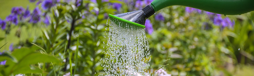 Hittegolf proof water geven in de tuin Tips Housecare Service